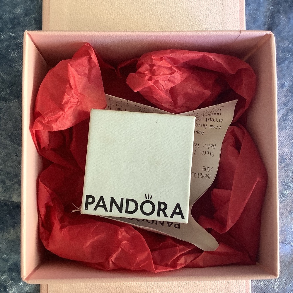 Pandora - image 2